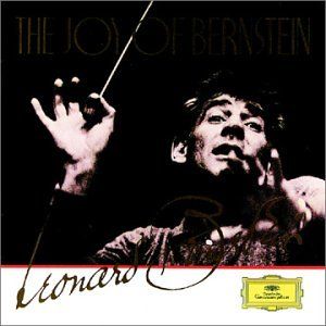 Image for The Joy Of Bernstein