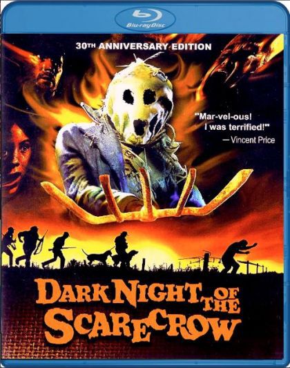 Image for Dark Night Of The Scarecrow