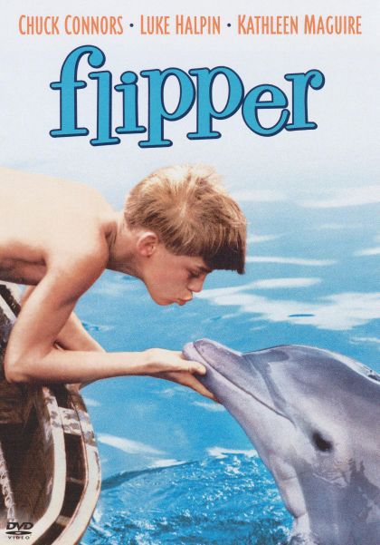 Flipper