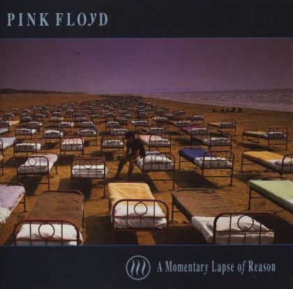 A Momentary Lapse Of Reason